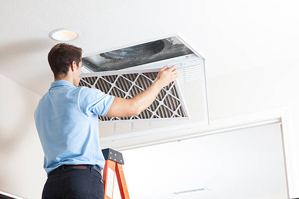 Best Solar-powered HVAC Systems in La Joya, TX